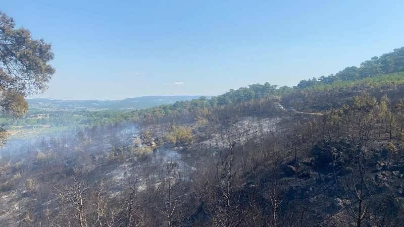 Çanakkale Ayvacık’taki orman yangını 2’nci gününde: Havadan ve karadan müdahale devam ediyor
